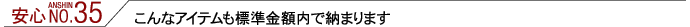 安心35：こんなアイテムも標準金額内で納まります